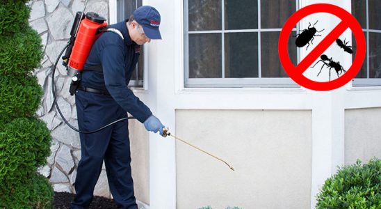 Dernekpazarı Sivrisinek İlaçlama böcek ilaçlama ve haşere kontrolü — ilaclama-tr.com